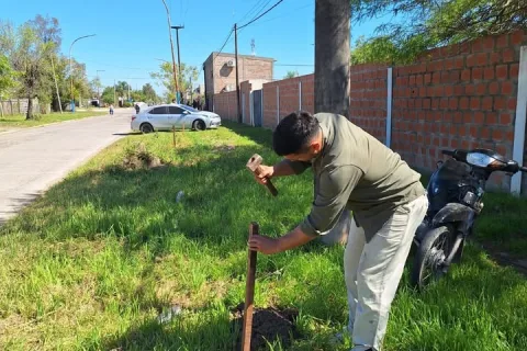 Nueva jornada de plantación y reforestación en la ciudad
