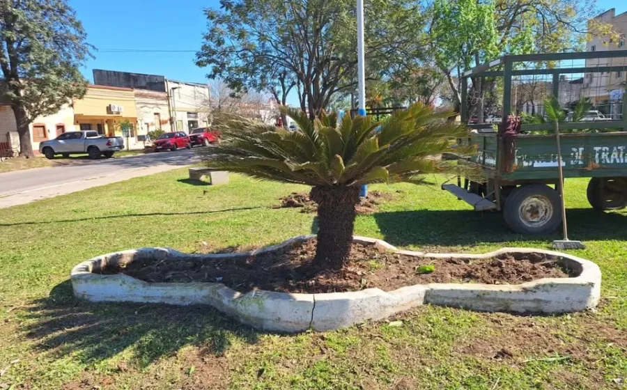 Ambiente: cuidado y mantenimiento de los espacios verdes