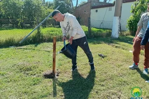 Ambiente | Cuidar lo que se plantó, un compromiso de todos