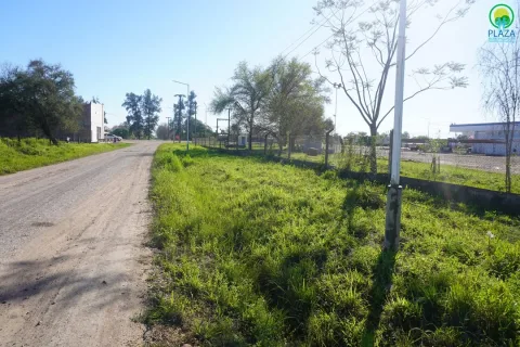 Mantenimiento y protección de las jirafas de iluminación