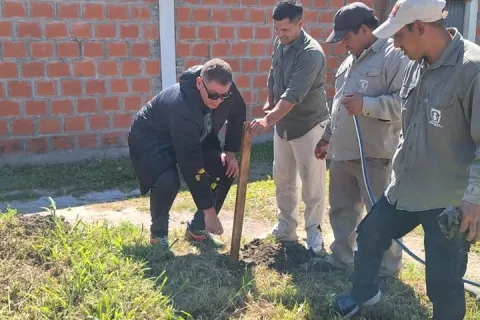 Nueva jornada de plantación y reforestación en la ciudad