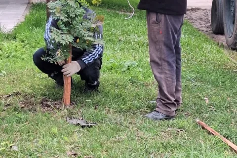 Nueva jornada de plantación y reforestación en la ciudad