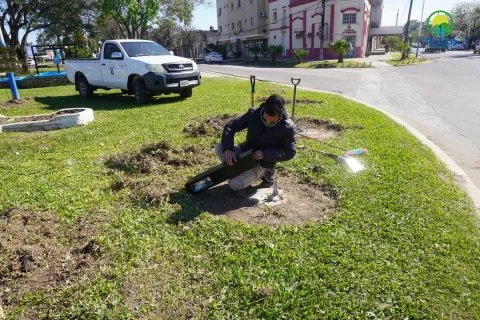 Embellecimiento y puesta en valor de Av. Victorino de la Plaza