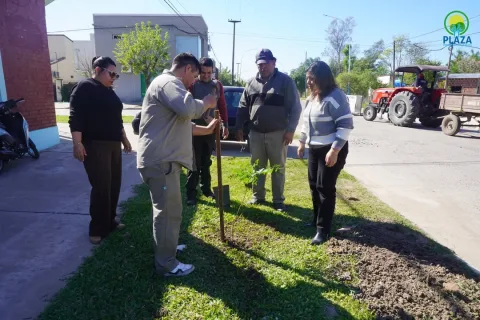 Nueva jornada de plantación y reforestación en la ciudad