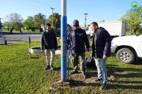 Embellecimiento y puesta en valor de Av. Victorino de la Plaza