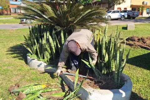 Ambiente: cuidado y mantenimiento de los espacios verdes