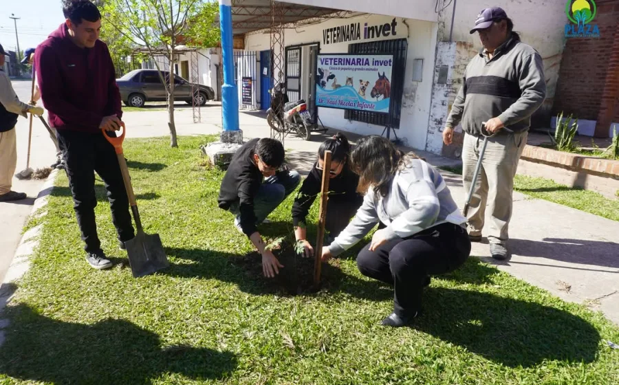 Nueva jornada de plantación y reforestación en la ciudad