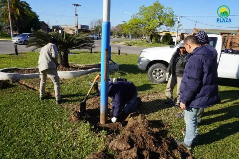 Embellecimiento y puesta en valor de Av. Victorino de la Plaza