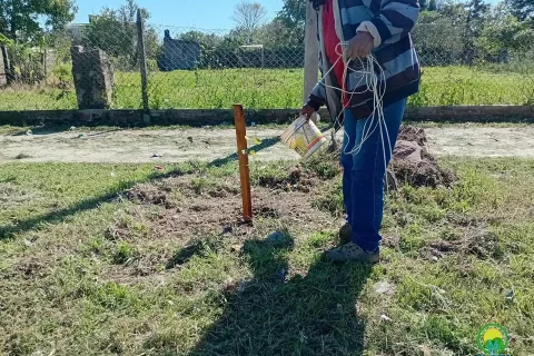 Ambiente | Cuidar lo que se plantó, un compromiso de todos